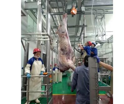 小型牽引式電動葫蘆搭配高壓電麻,成為宰豬新方式